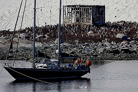 448. Antarctica (Day 1) edited