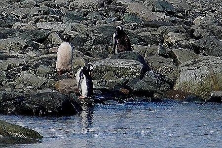 481. Antarctica (Day 1) edited