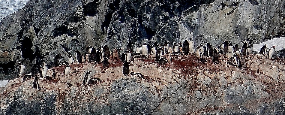 483. Antarctica (Day 1) edited