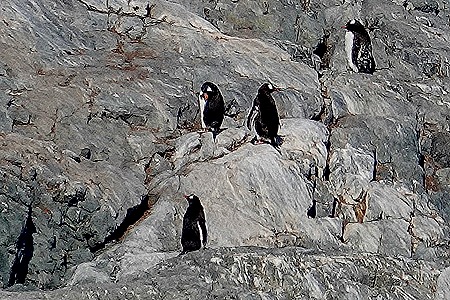 489. Antarctica (Day 1) edited