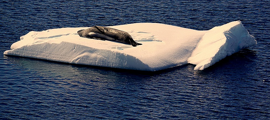 555a. Antarctica (Day 1) edited_stitch