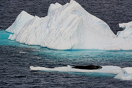 631. Antarctica (Day 1) edited