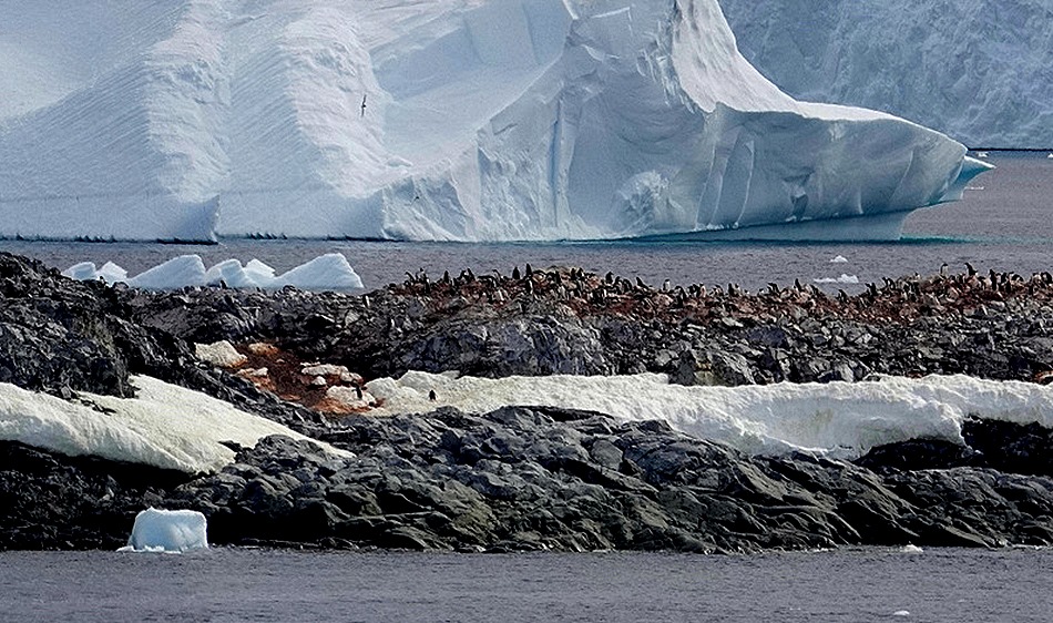 638a. Antarctica (Day 1) edited_stitch