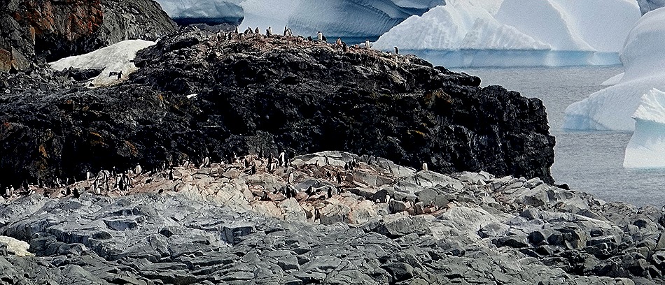 641. Antarctica (Day 1) edited