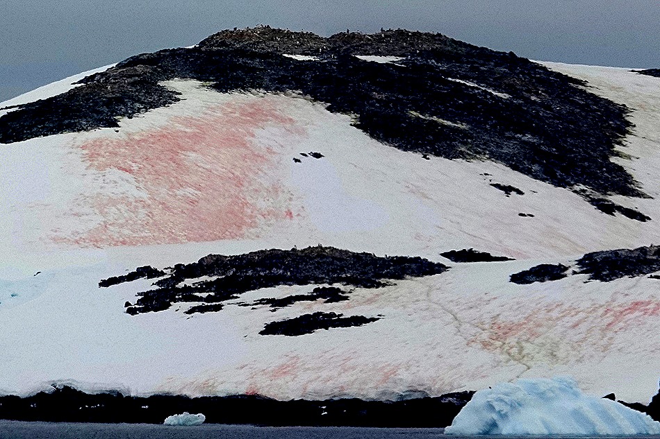 654a. Antarctica (Day 1) edited_stitch