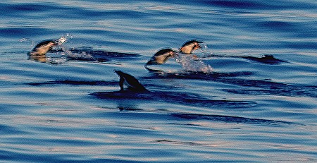 89. Antarctica (Day 1) edited