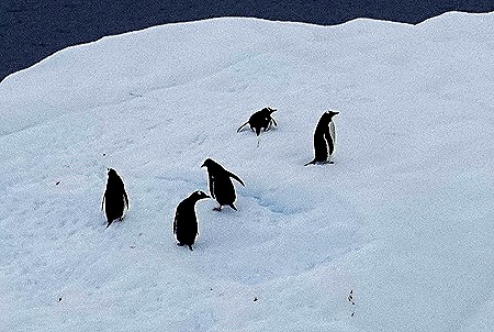 94. Antarctica (Day 2)