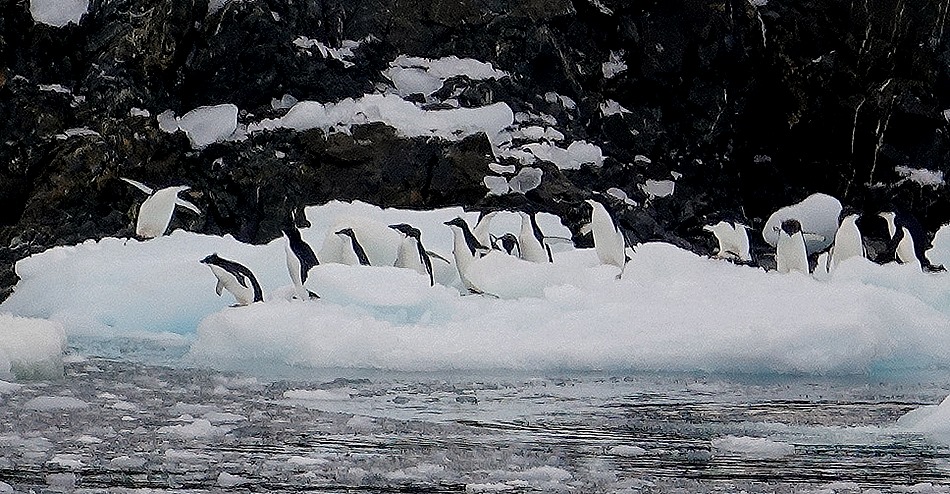 108. Antarctica (Day 3)