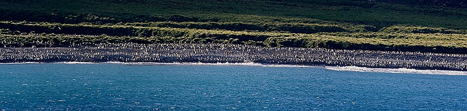 108a. South Georgia Island_stitch