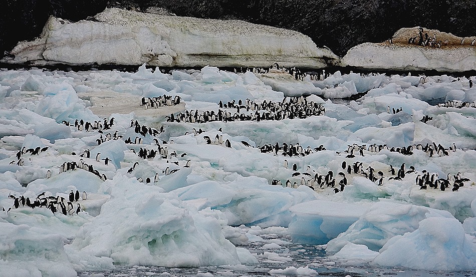 109. Antarctica (Day 3)