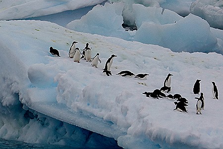 111. Antarctica (Day 3)