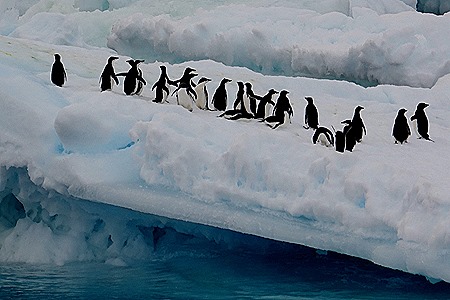 121. Antarctica (Day 3)
