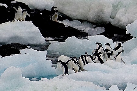 127. Antarctica (Day 3)