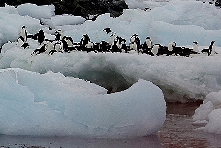 129. Antarctica (Day 3)