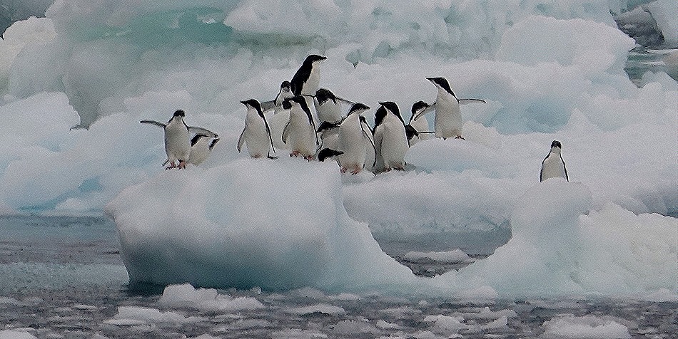 131. Antarctica (Day 3)