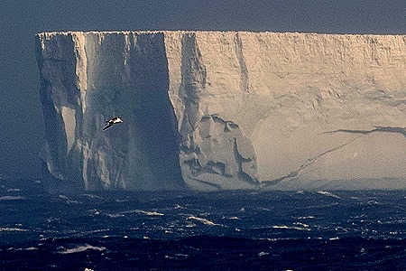 14a. South Georgia Island