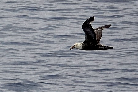 153. Antarctica (Day 3)