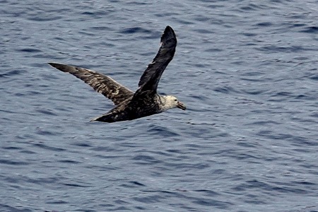 155. Antarctica (Day 3)