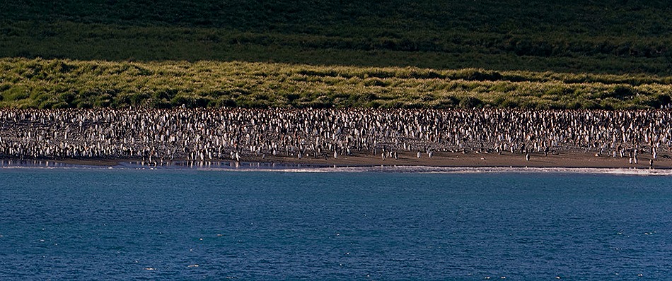 159a. South Georgia Island_stitch