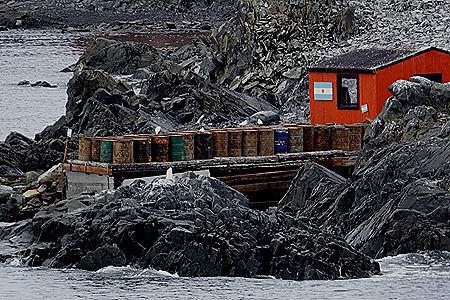 174. Antarctica (Day 3)