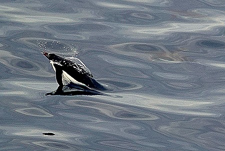 175. Antarctica (Day 3)