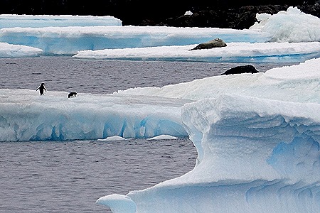 177. Antarctica (Day 3)