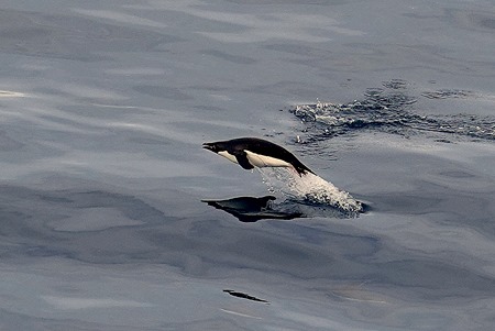 191. Antarctica (Day 3)