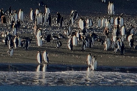 197. South Georgia Island