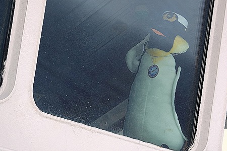 198. Antarctica Day 4 (King Georges Island)