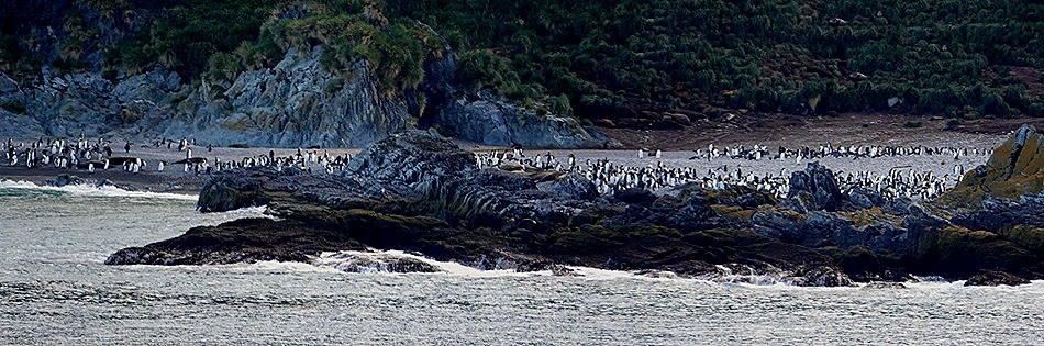 201a. South Georgia Island_stitch