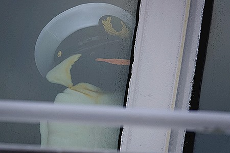 205. Antarctica Day 4 (King Georges Island)