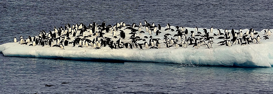 220b. Antarctica (Day 3)_stitch