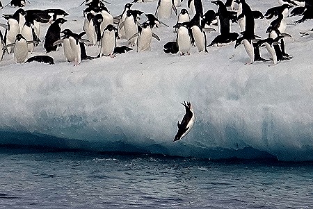 224. Antarctica (Day 3)