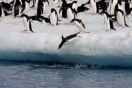 228. Antarctica (Day 3)