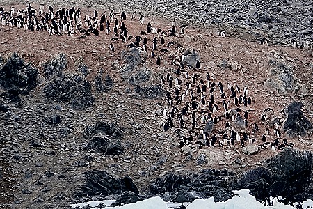 24a. Antarctica (Day 3)_stitch