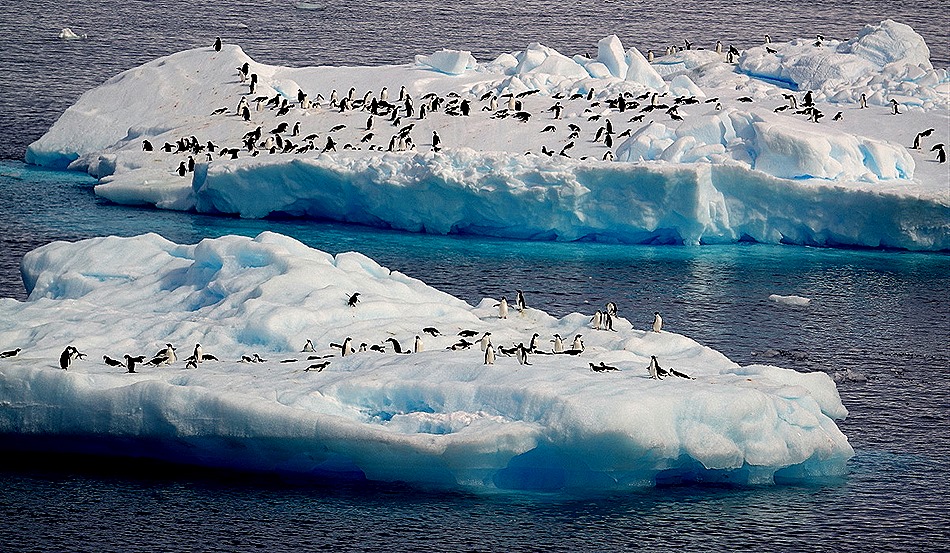 256. Antarctica (Day 3)