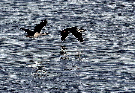 277. Antarctica (Day 3)