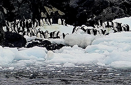 27a. Antarctica (Day 3)