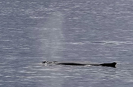 283. Antarctica (Day 3)