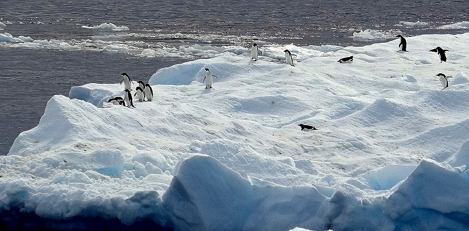 285. Antarctica (Day 3)