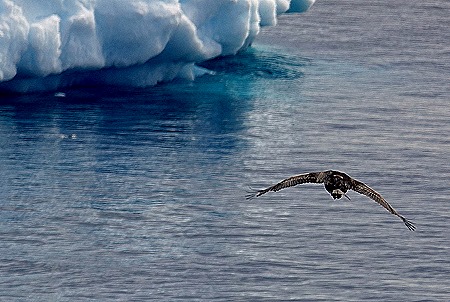 286. Antarctica (Day 3)