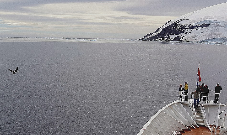 313. Antarctica (Day 3)