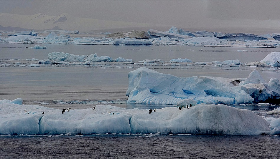 349a. Antarctica (Day 3)_stitch