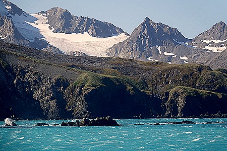 35. South Georgia Island