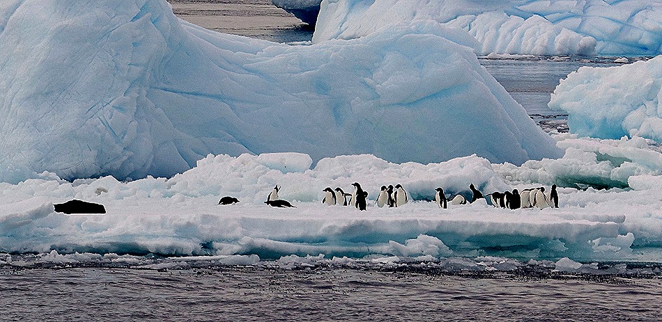 352a. Antarctica (Day 3)_stitch