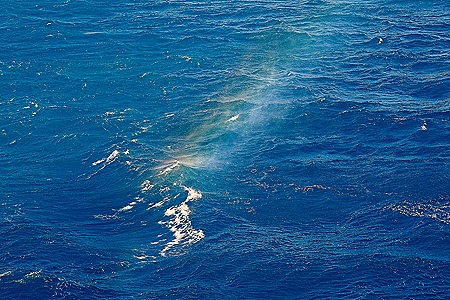 37. South Georgia Island