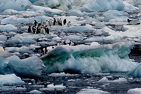 37b. Antarctica (Day 3)