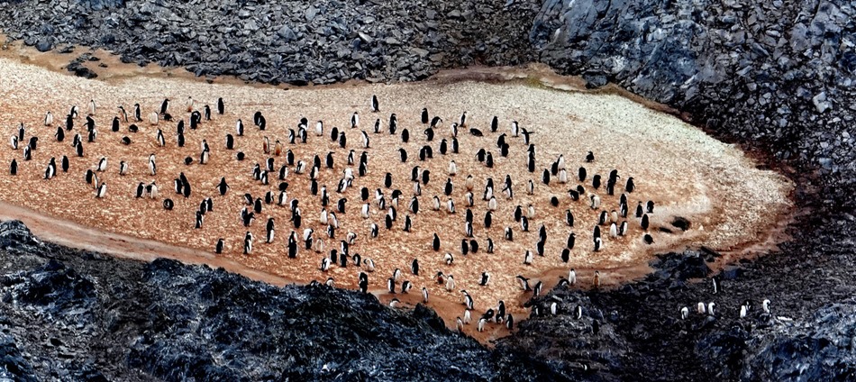 38a. Antarctica (Day 3)_stitch