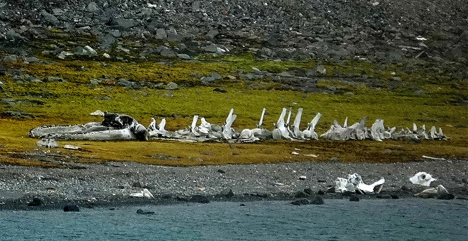 83. Antarctica Day 4 (King Georges Island)