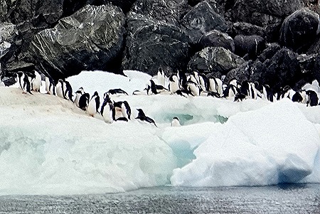 90. Antarctica (Day 3)